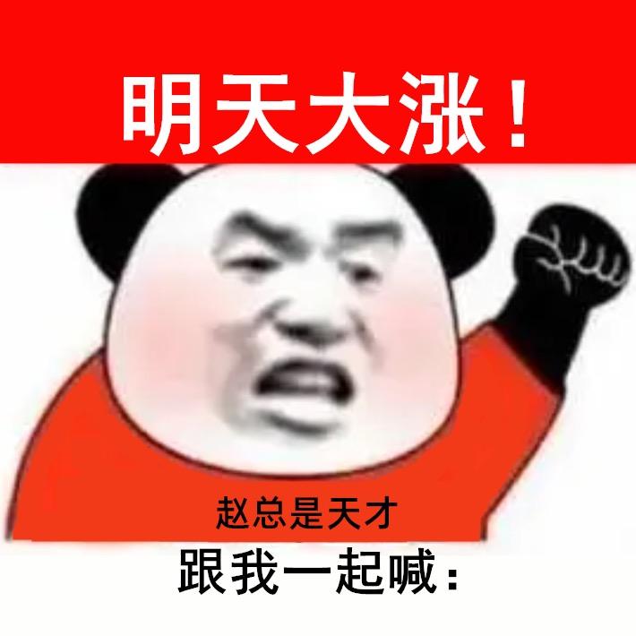 天才交易员｜赵总