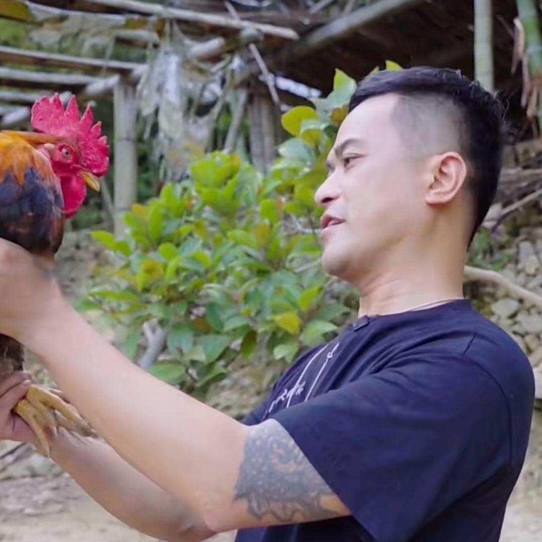 宁德养鸡小王子