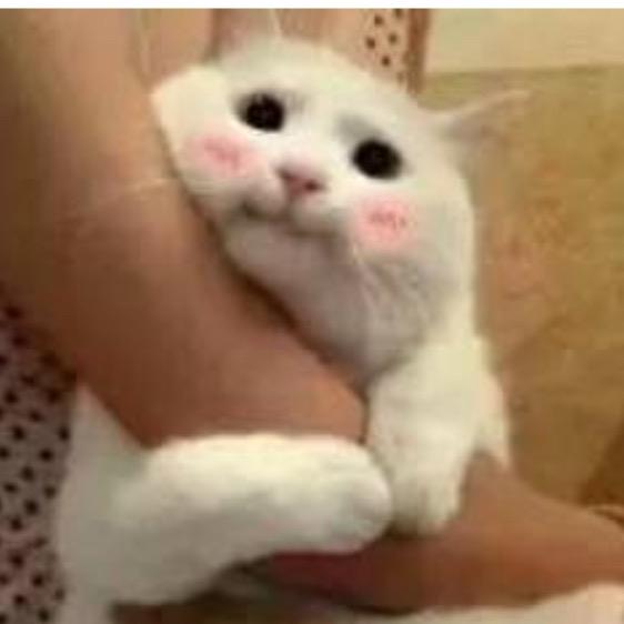 咕咕 丶