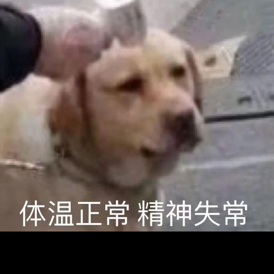 带刺的玫瑰🌹