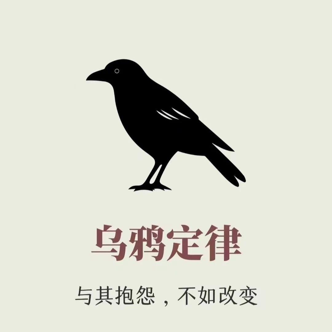 梦理