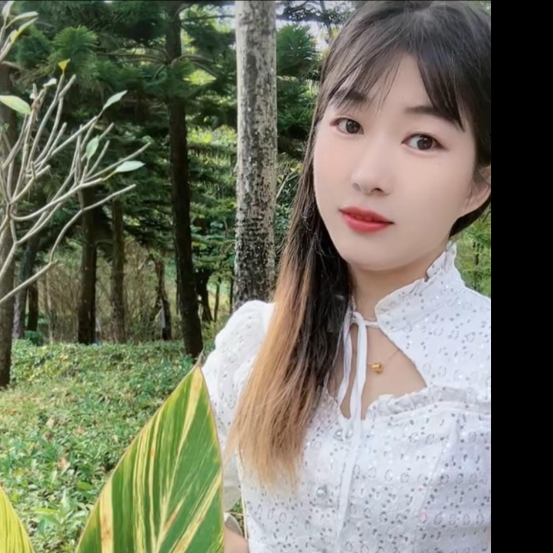 专业用户
