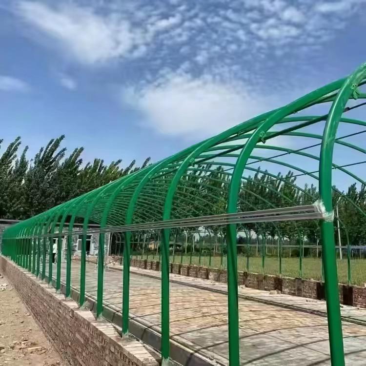 全国承建养殖大棚-程毅