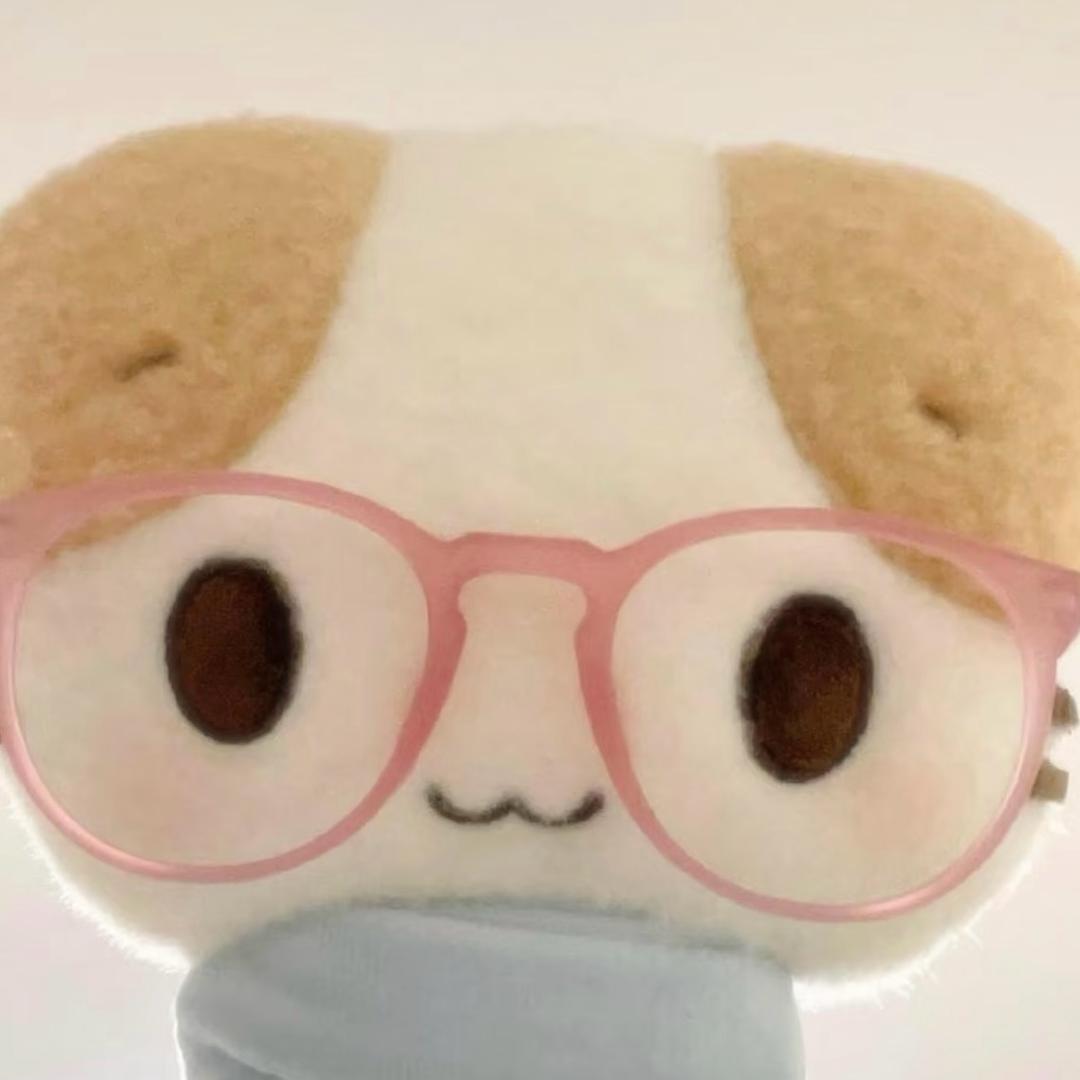 白白白小白