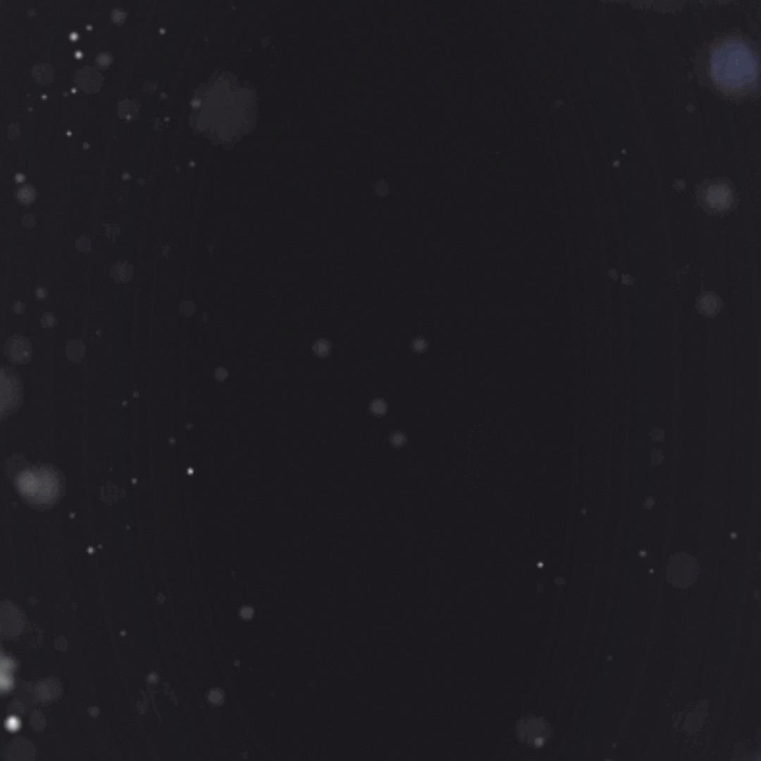 两眼见你 深入我心