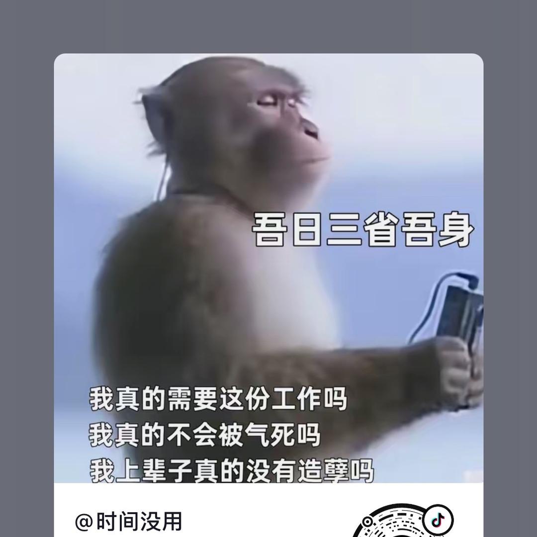 一只打工的吗喽