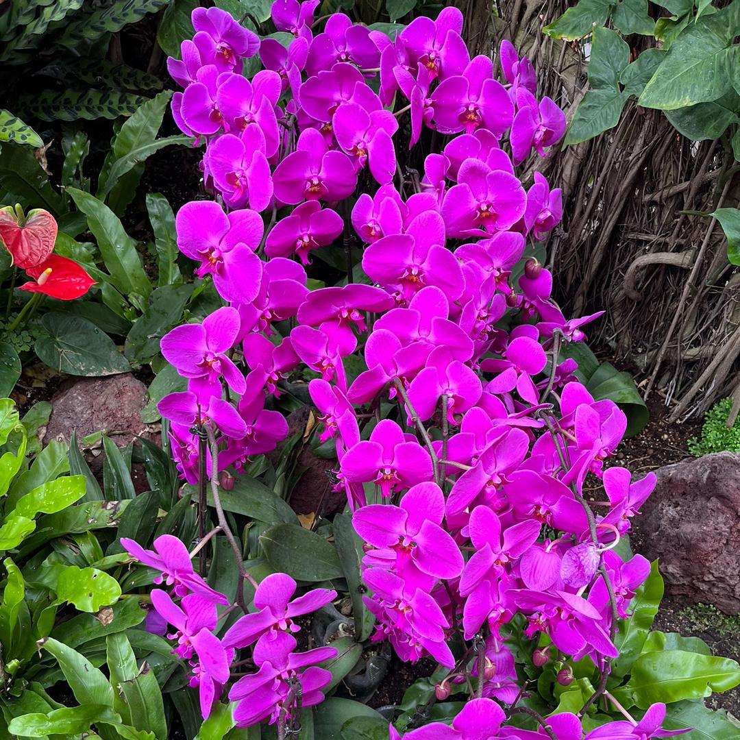 我和你（提花舒棉绒，北极绒）