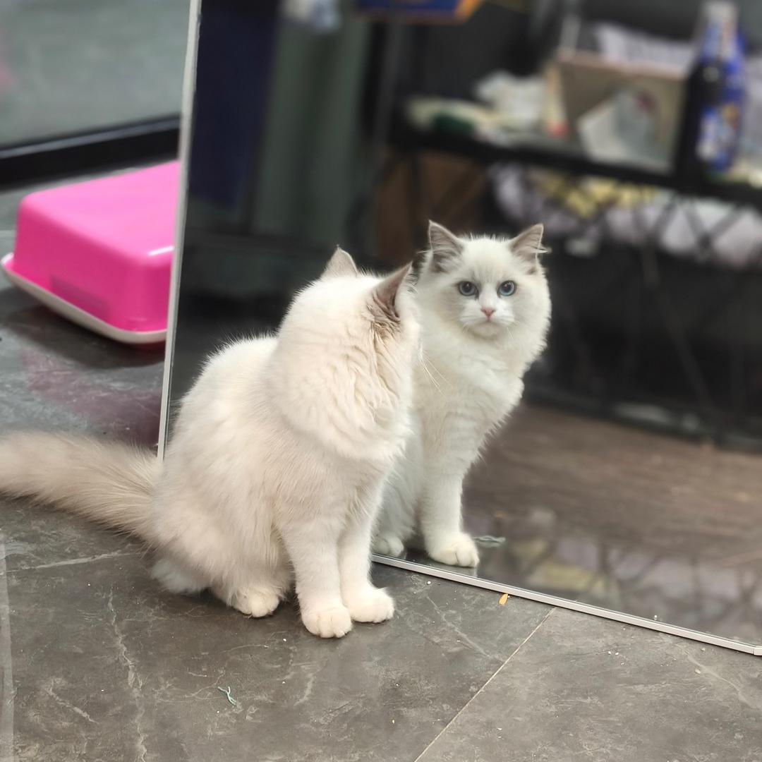 生活如果丽晶佳苑店三号