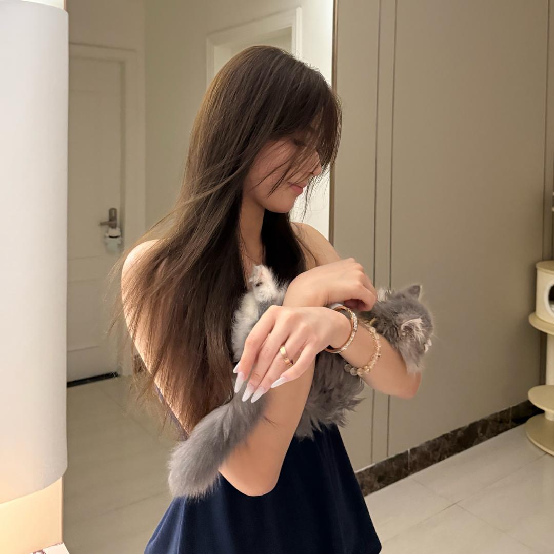 ff爱吃番茄