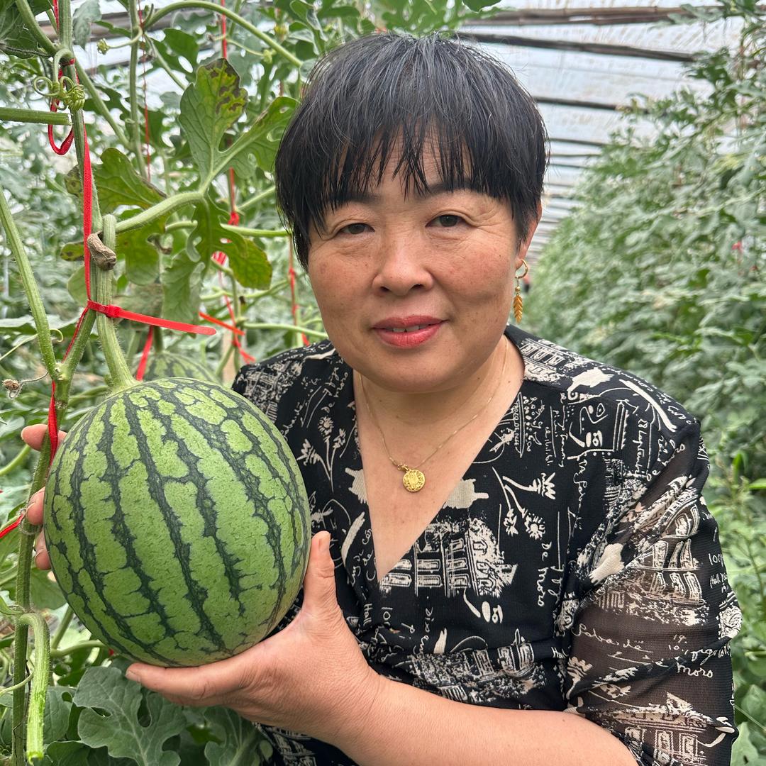 霞姐教你种甜瓜