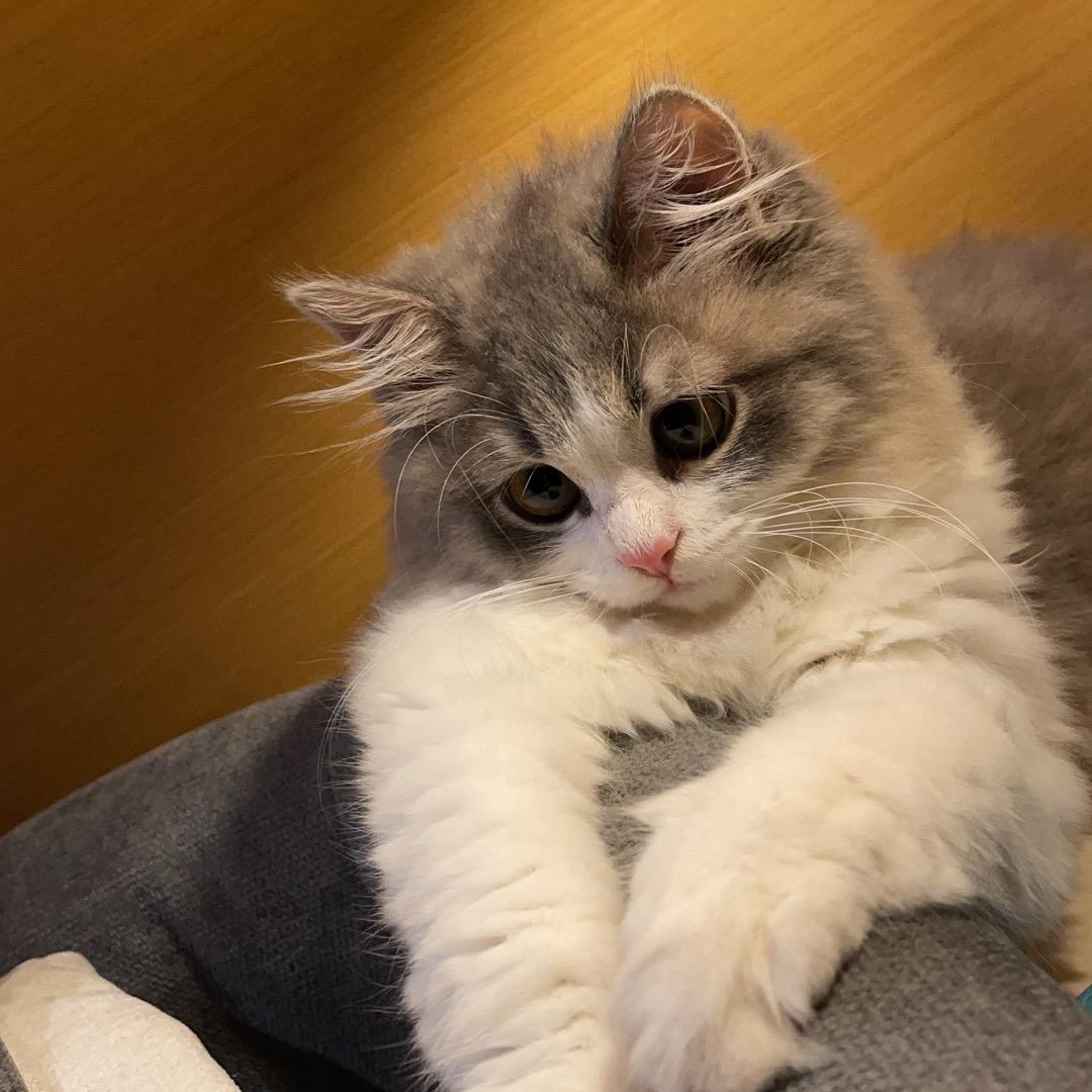 于可儿