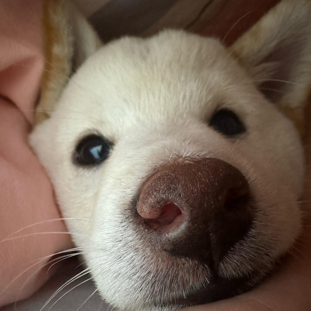 昨天