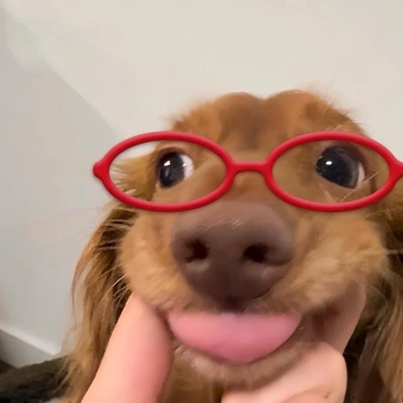 番呢丝