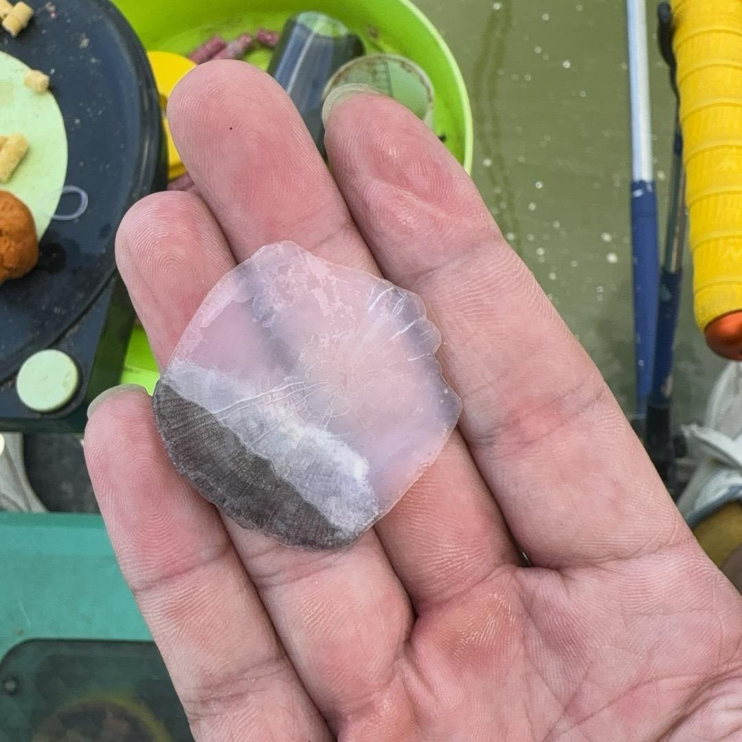 波仔渔具优选