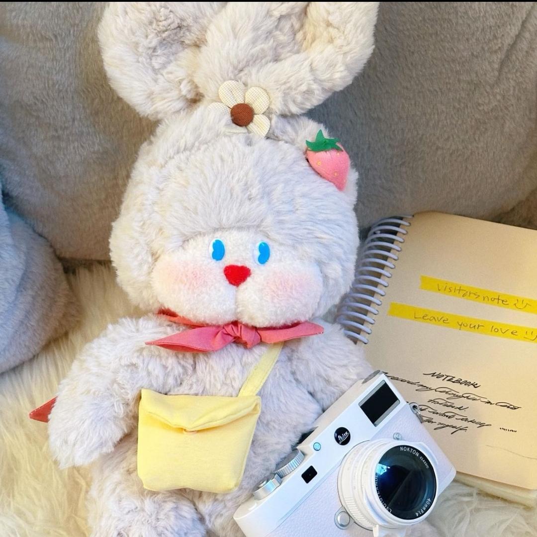 午夜拍照土豆丝