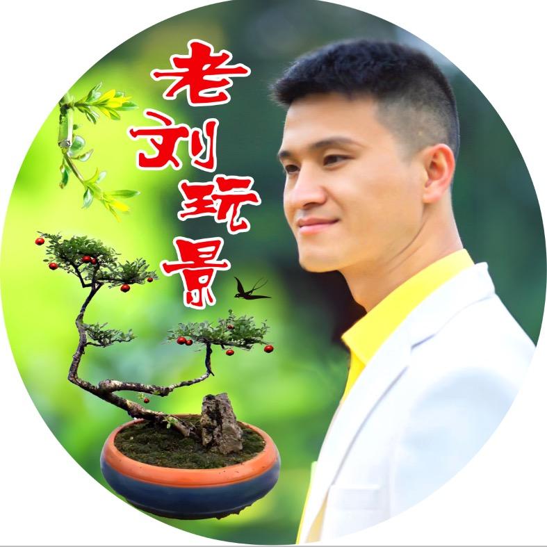 盆景小院（刘先生）