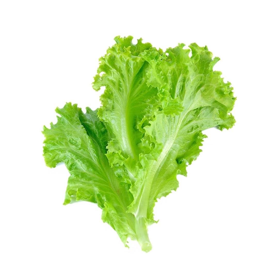 咕噜小楠