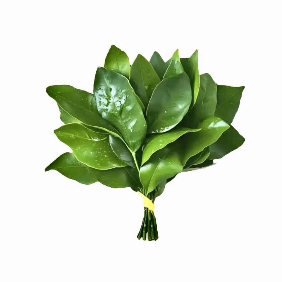 早早点睡