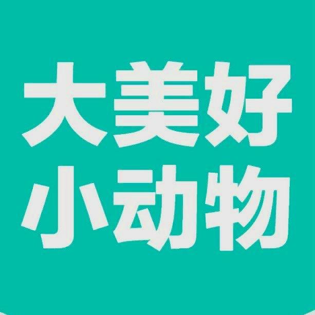 小镇中年（为了刘亮）