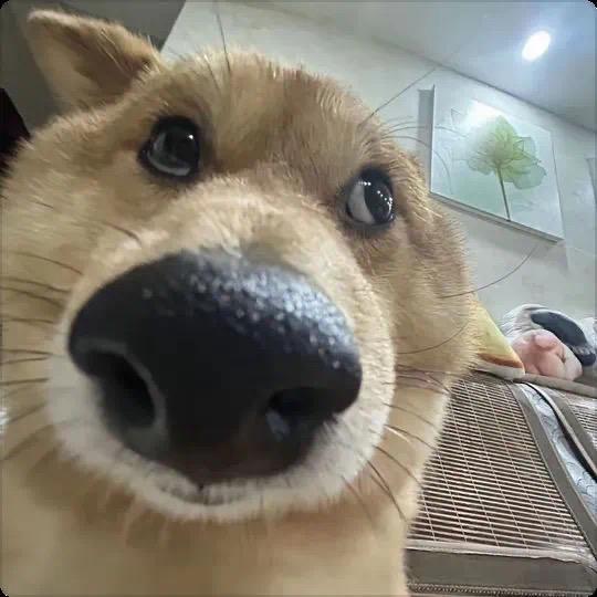 ^^