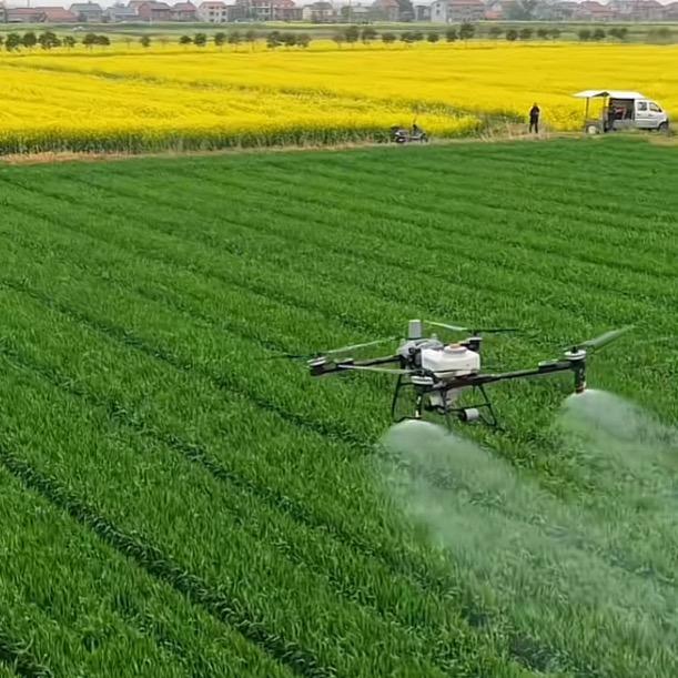 🇨🇳富人游戏