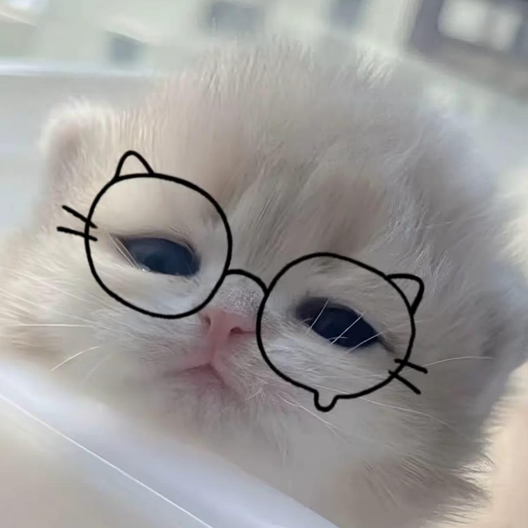 cattqwq1^