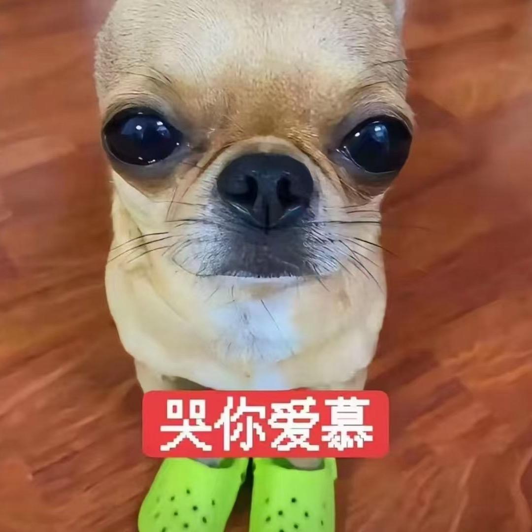 yiic