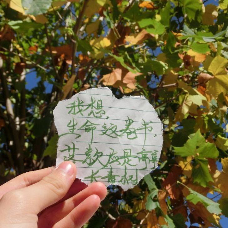 暖阳🫦