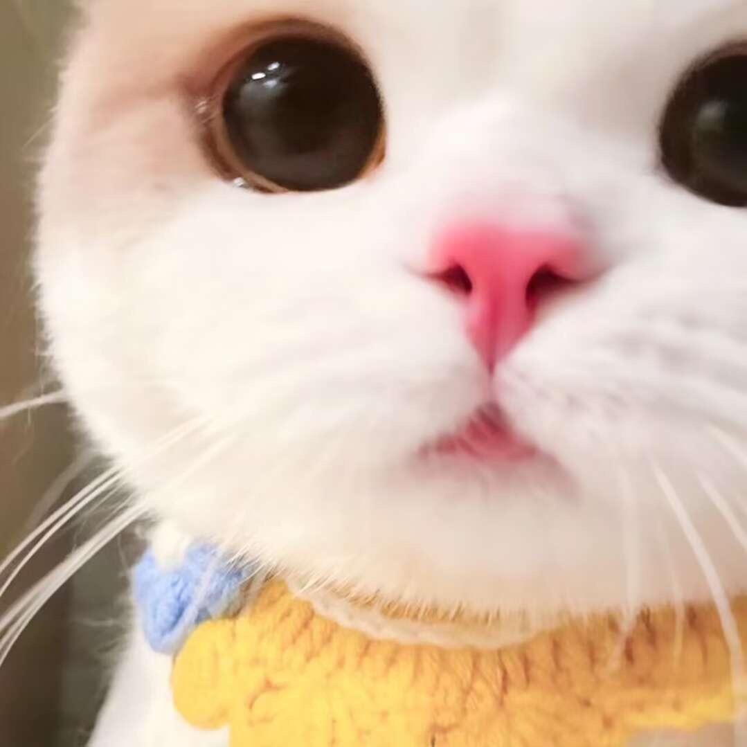 海.