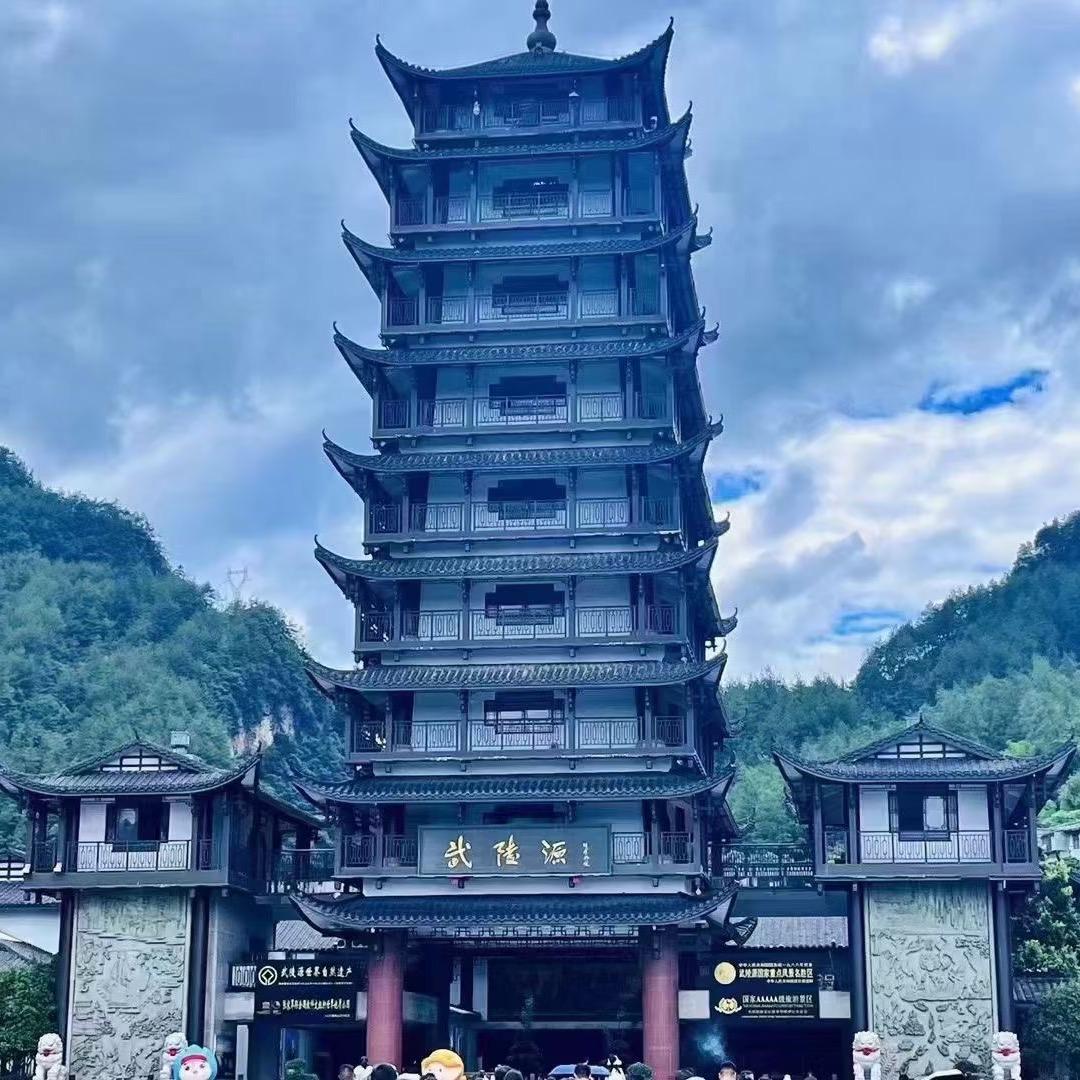 董的都懂