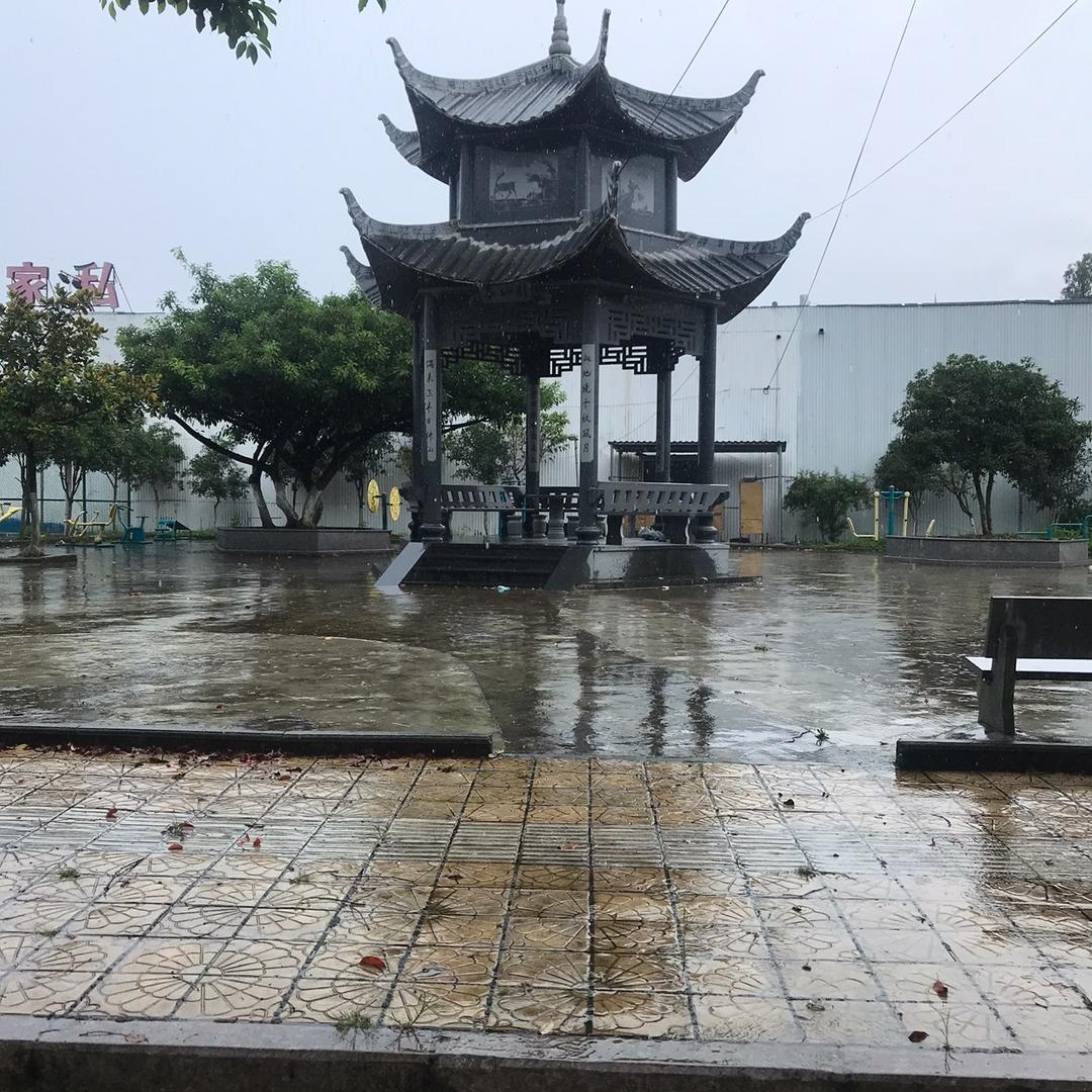 a华仔哥