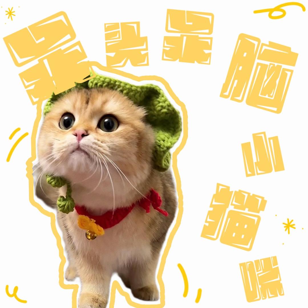 黄油饼干🍪