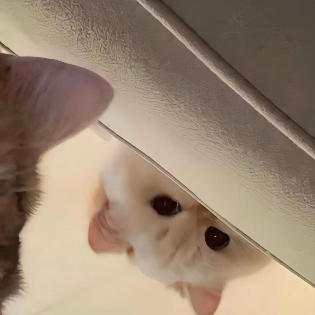 lu lu☁️