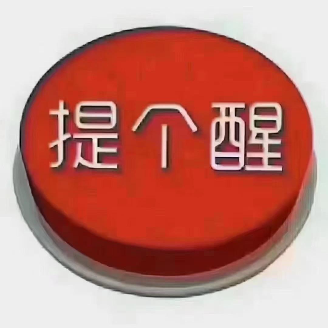 我叫朱猪猪
