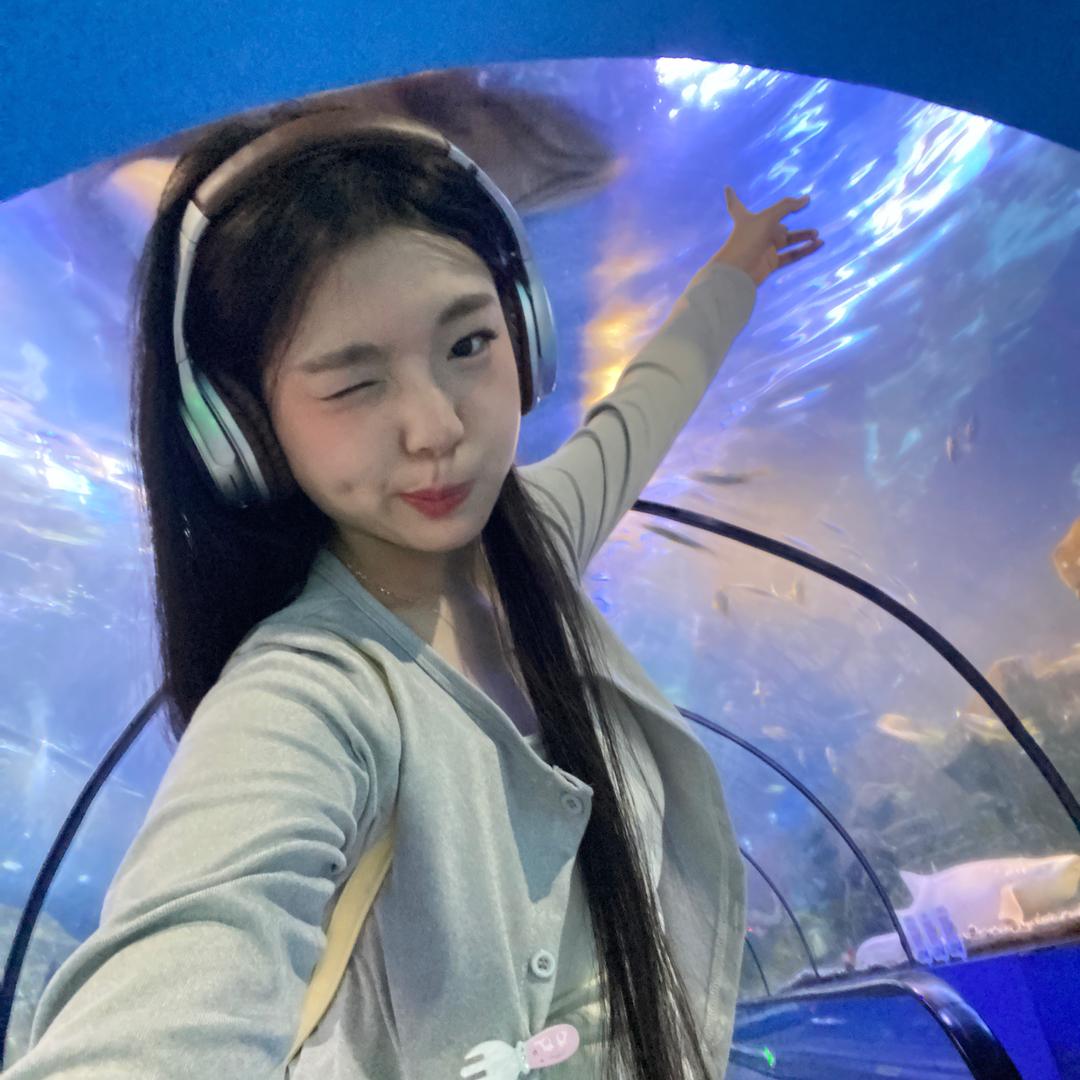 食人鱼🐚