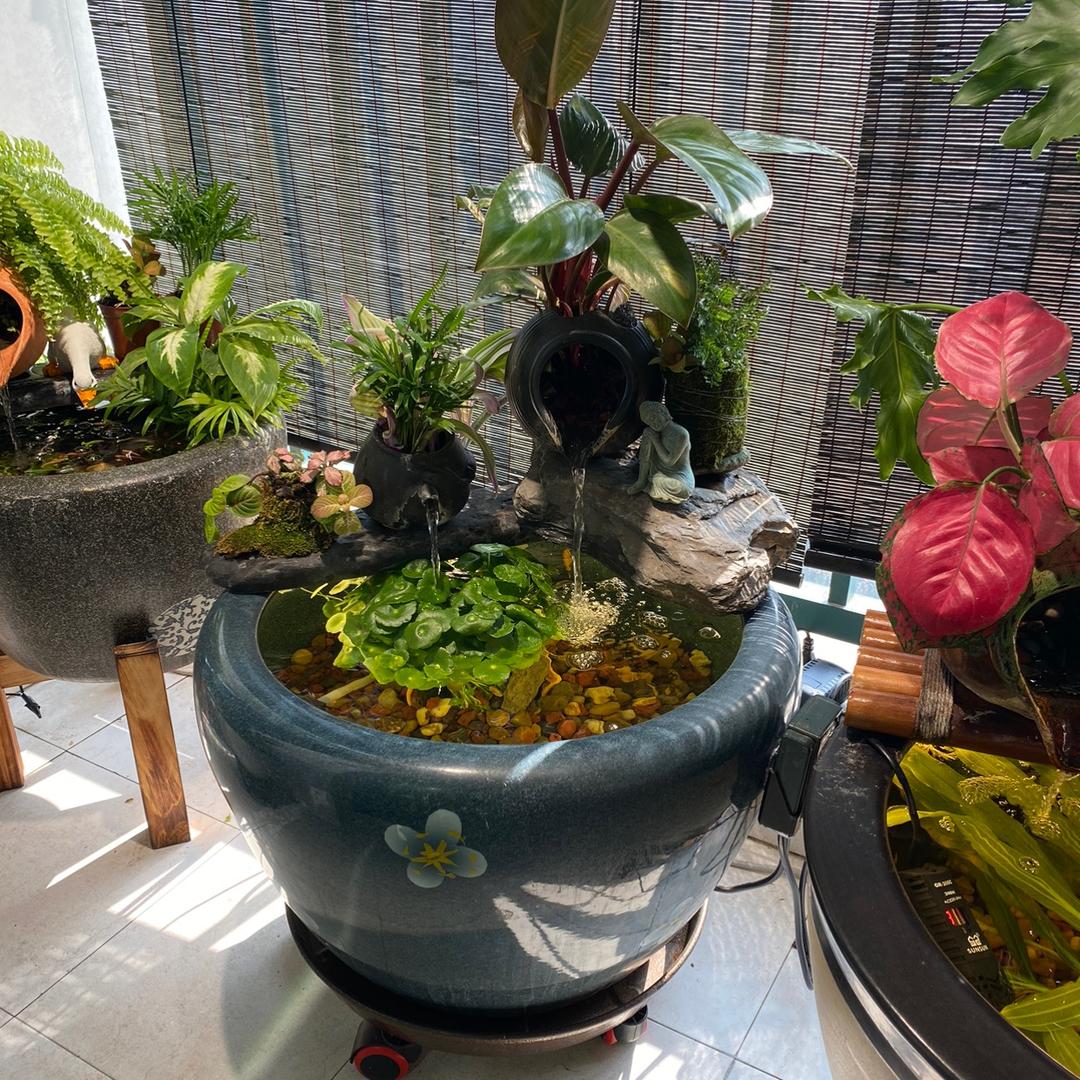 鱼之乐生态水族🐠