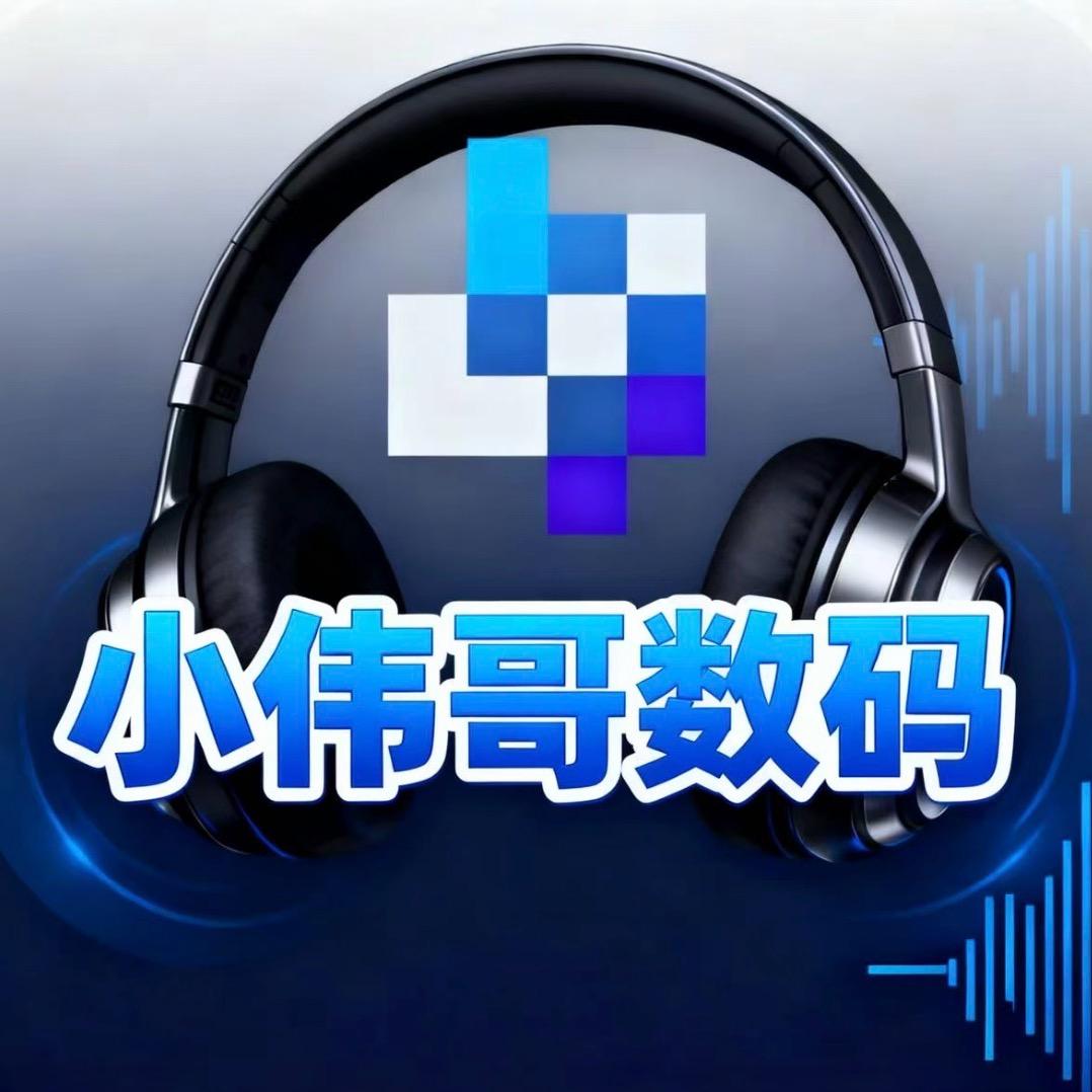 小伟哥数码（HiFi音频）