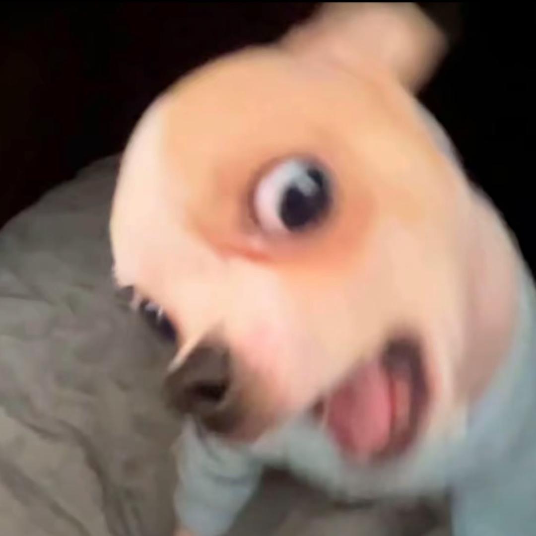 方糕饼