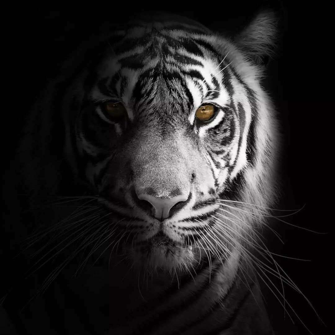 我不是烟儿神🚬