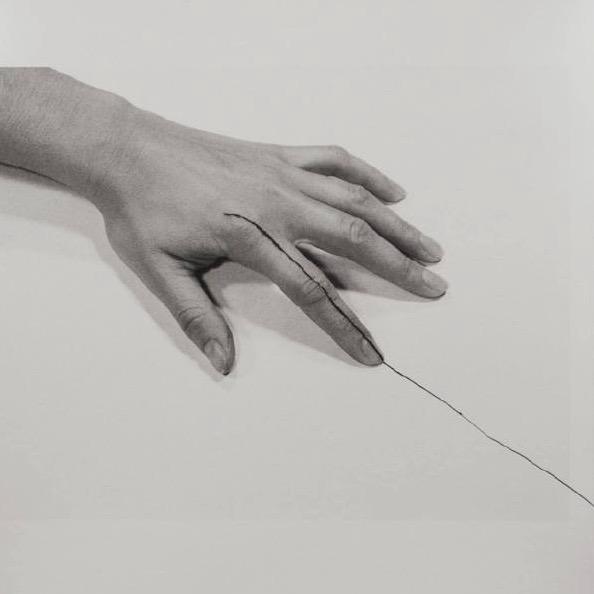 linee