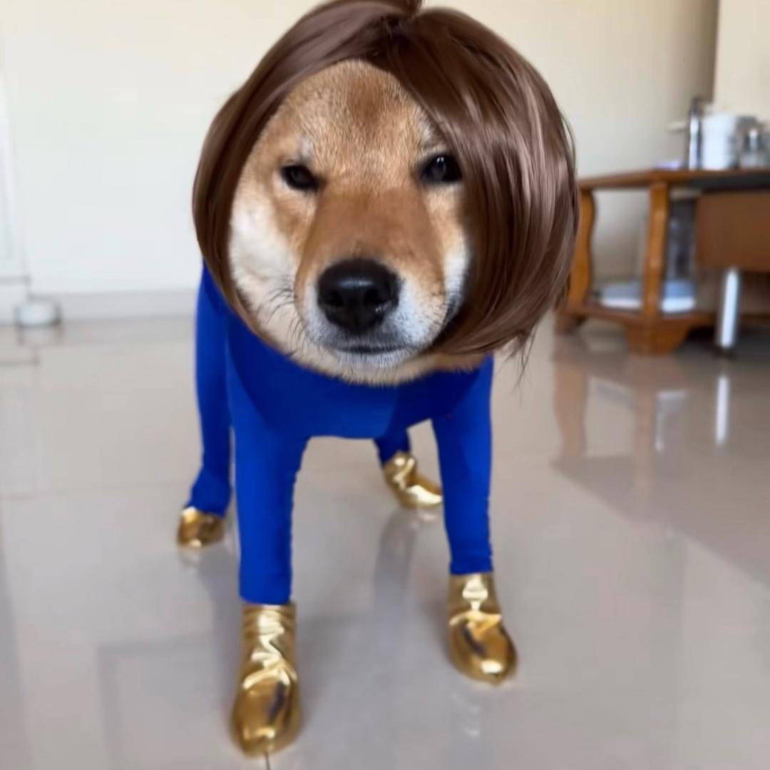 比琦堡