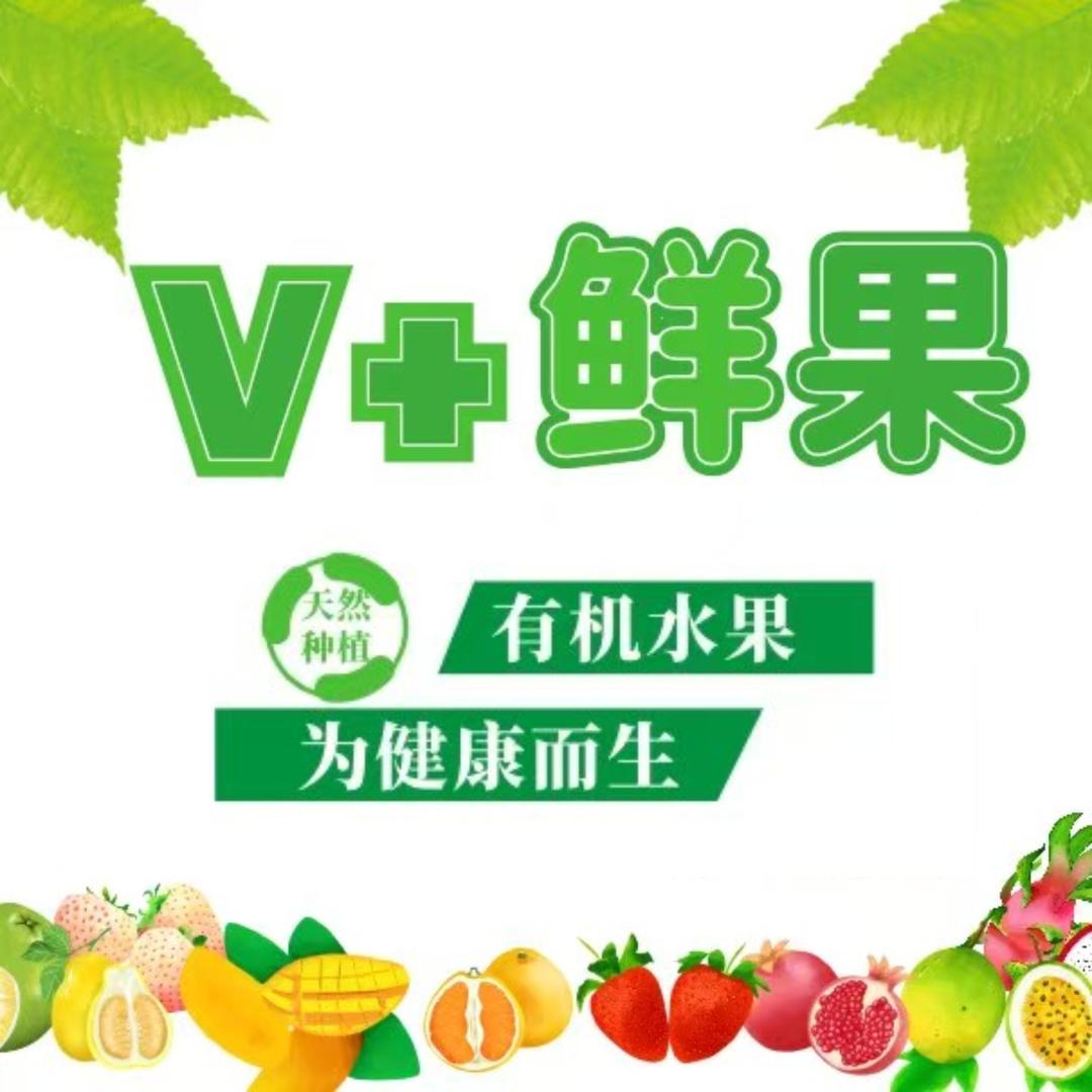 v+优选鲜果·邻途连锁(武强店)专用号