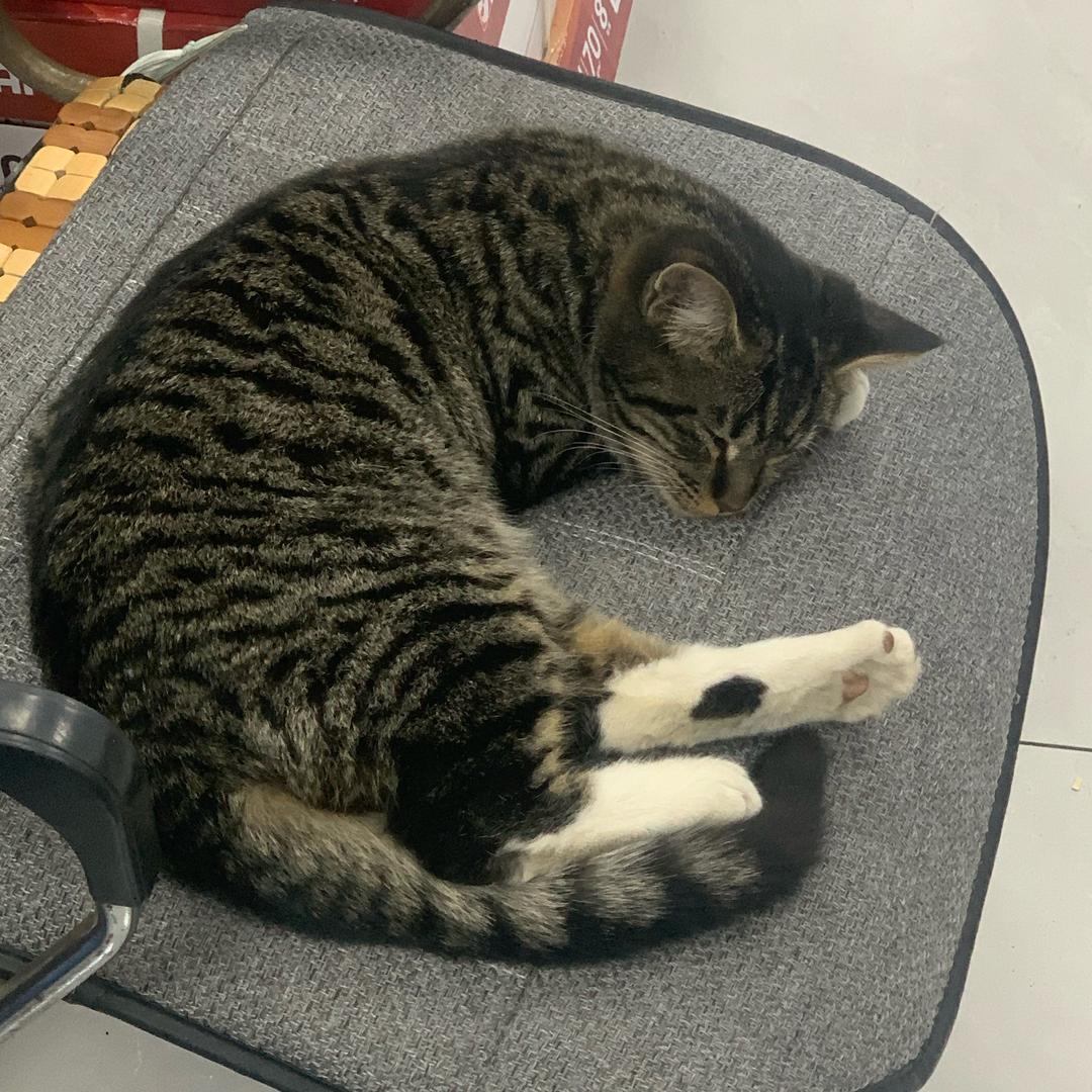 花男朋友钱给小三冲业绩