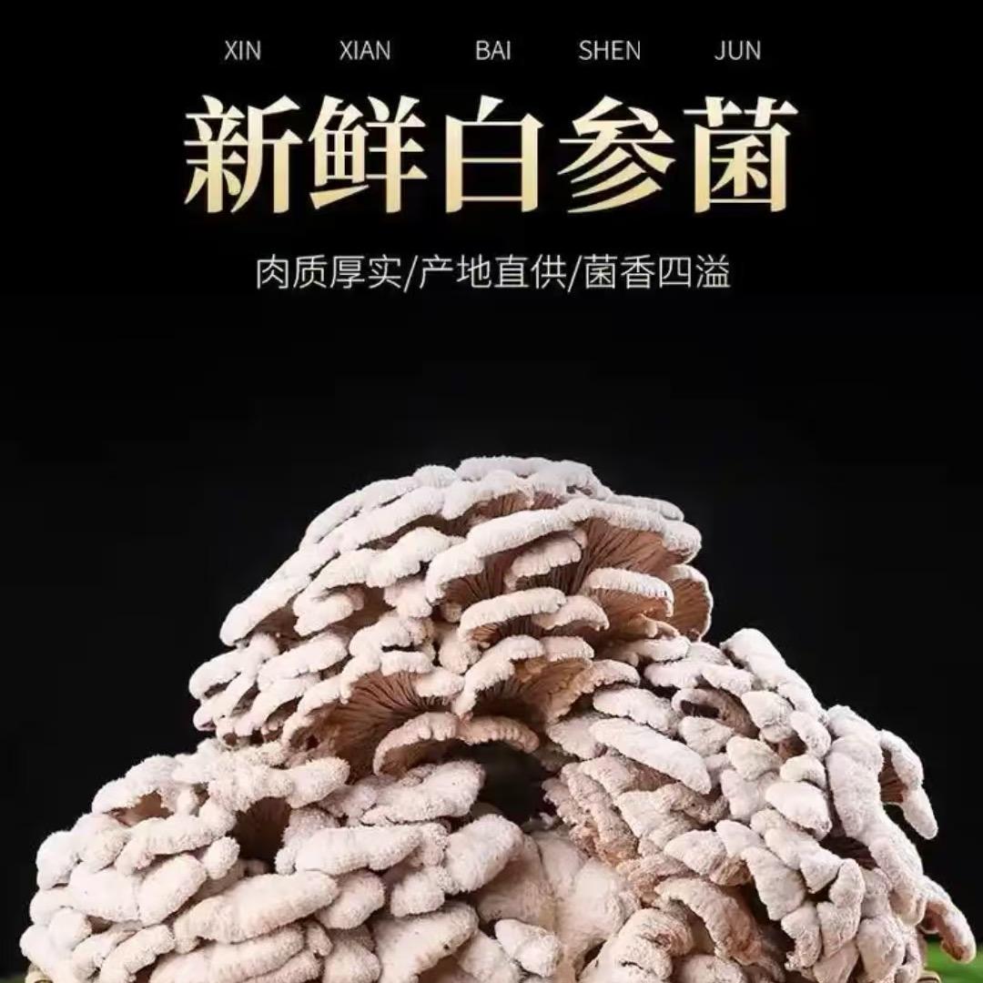 十堰民瑆生态-小卢
