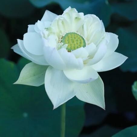 清云🙏
