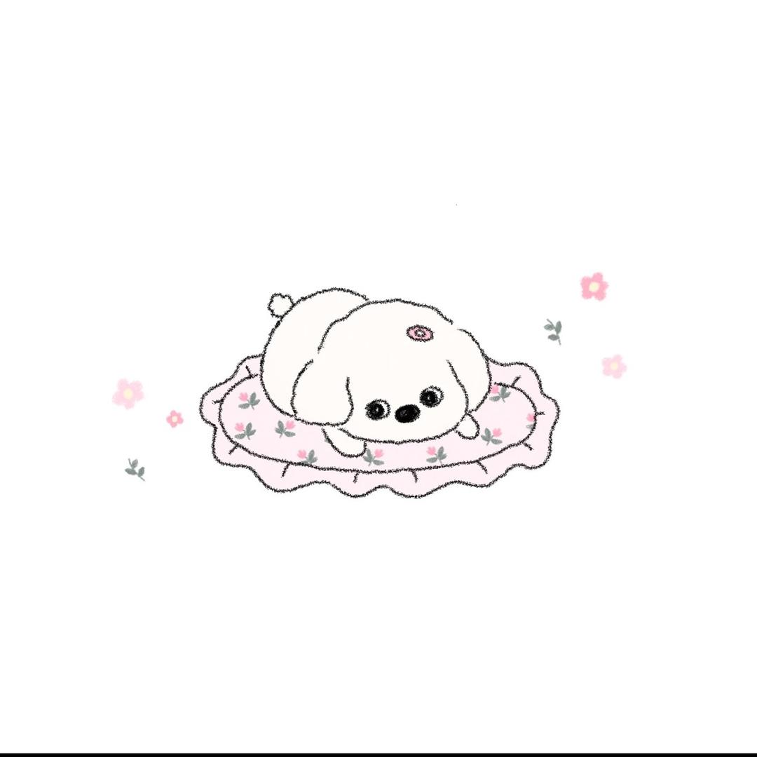 碱水包