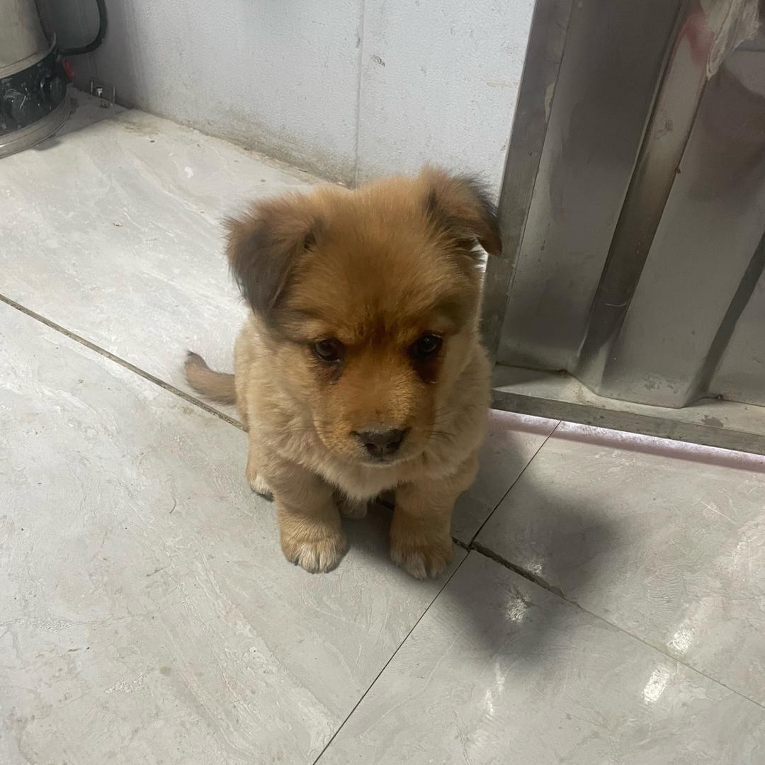 小劳的老妈