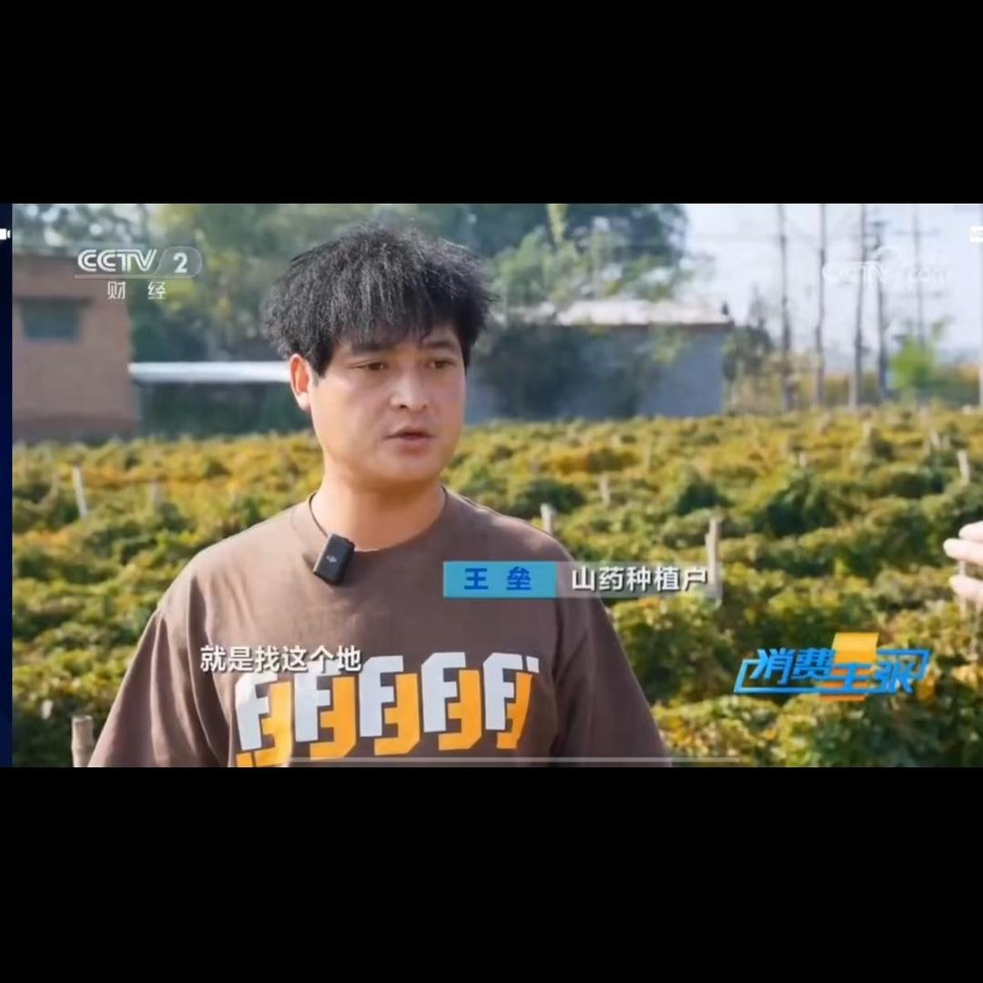 大美慧铁棍山药