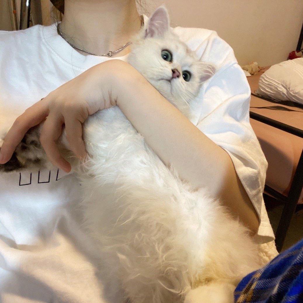 丽儿🎀