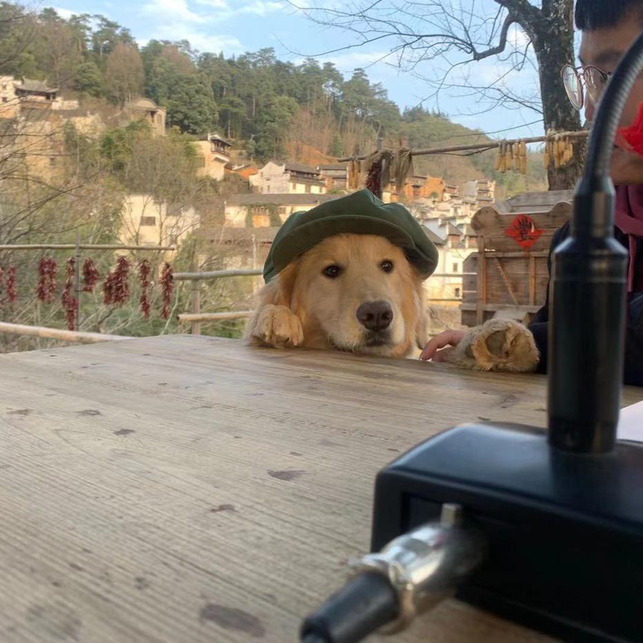 祝桥租房杠把子🏀